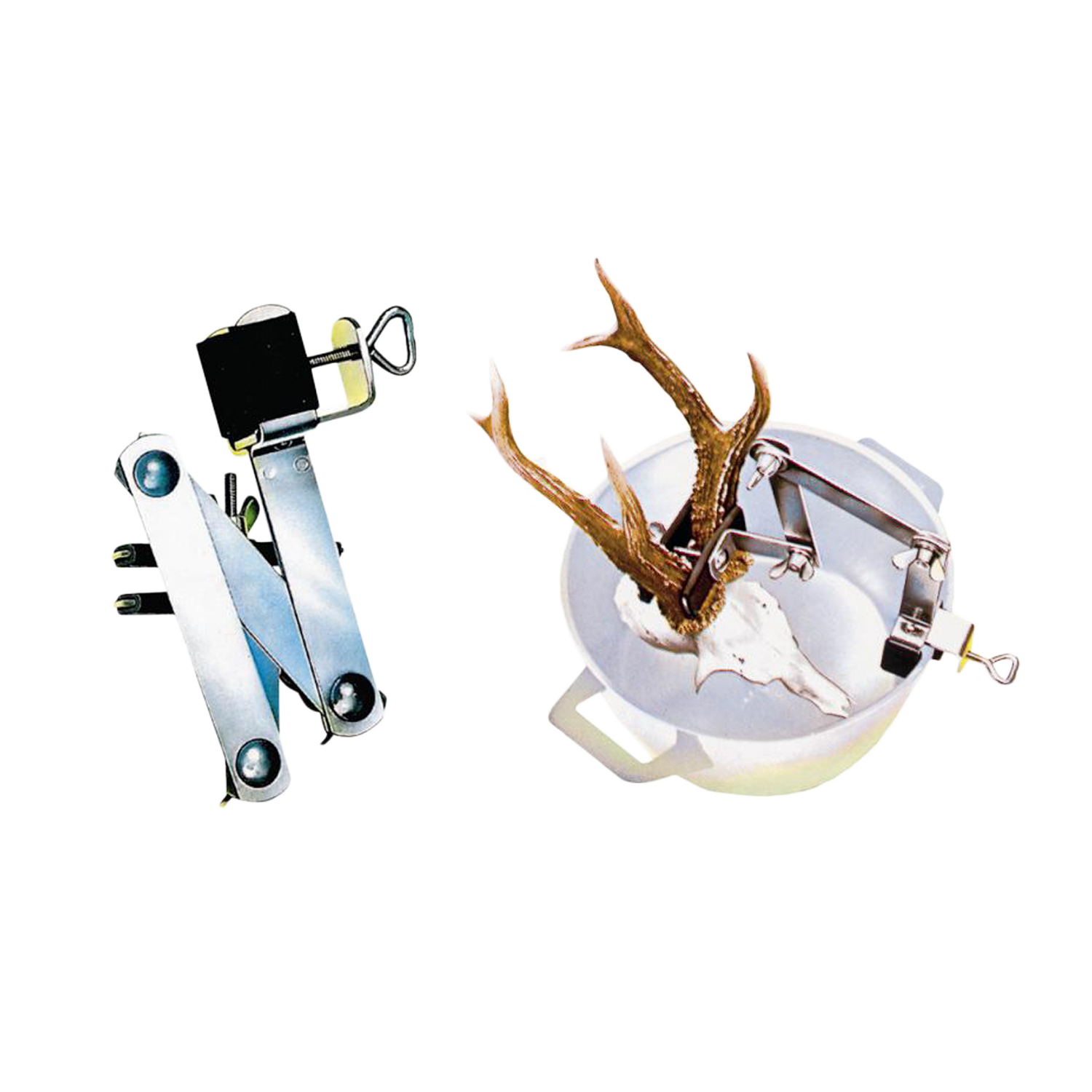 Sarvipidike Keittämistä Varten, Metsäkauris