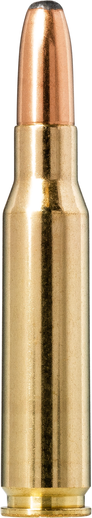 Norma CTG .308 Win 11.7G/180gr Whitetail