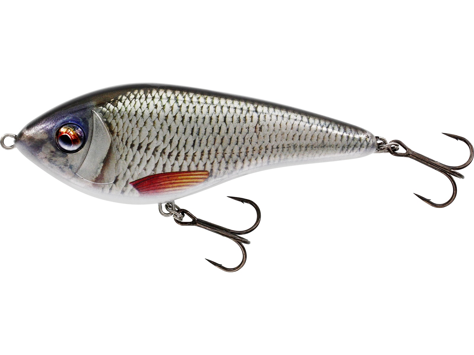 Swim 12 cm Suspending Real Roach