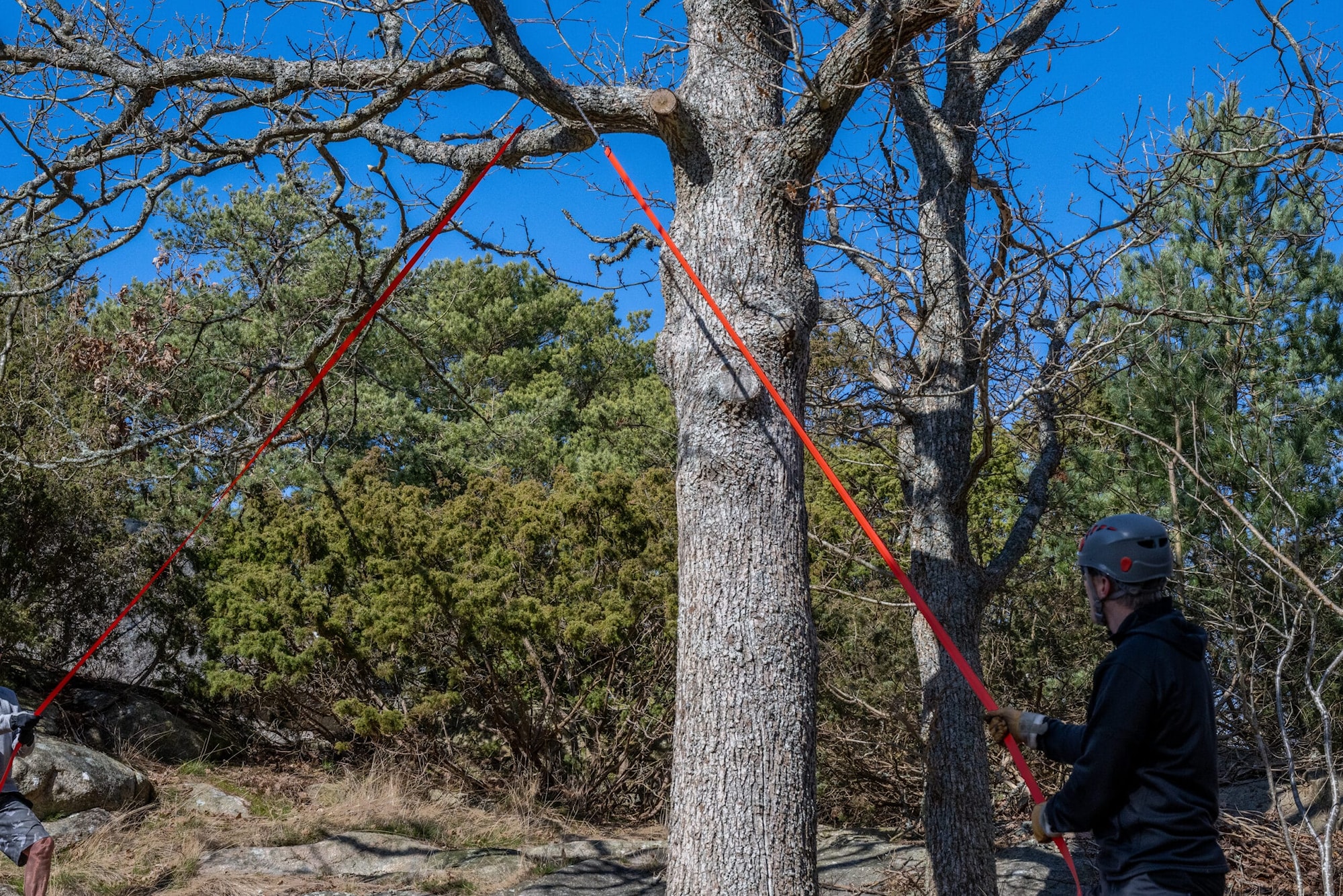 Nordic_Pocket_Saw_Arborist_V2_DSC_1079-scaled.jpg