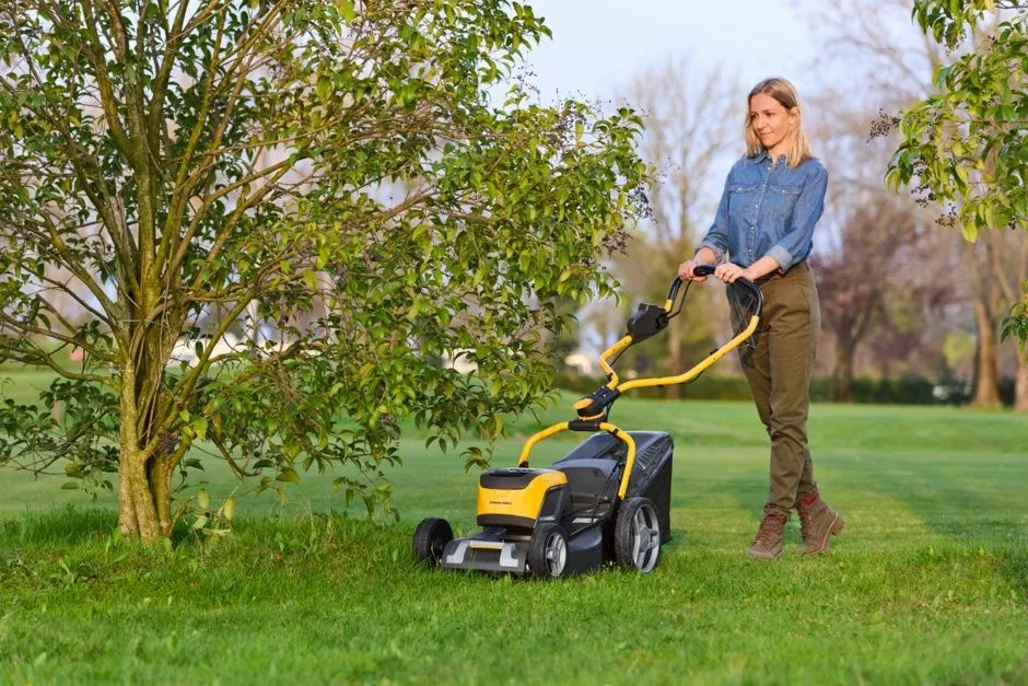 Collector 548e S.webp