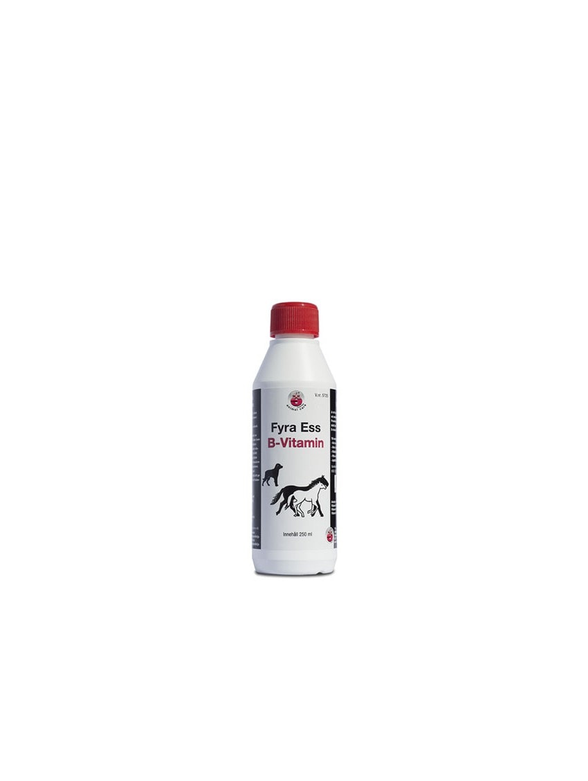 4S B-Vitamin 250ml