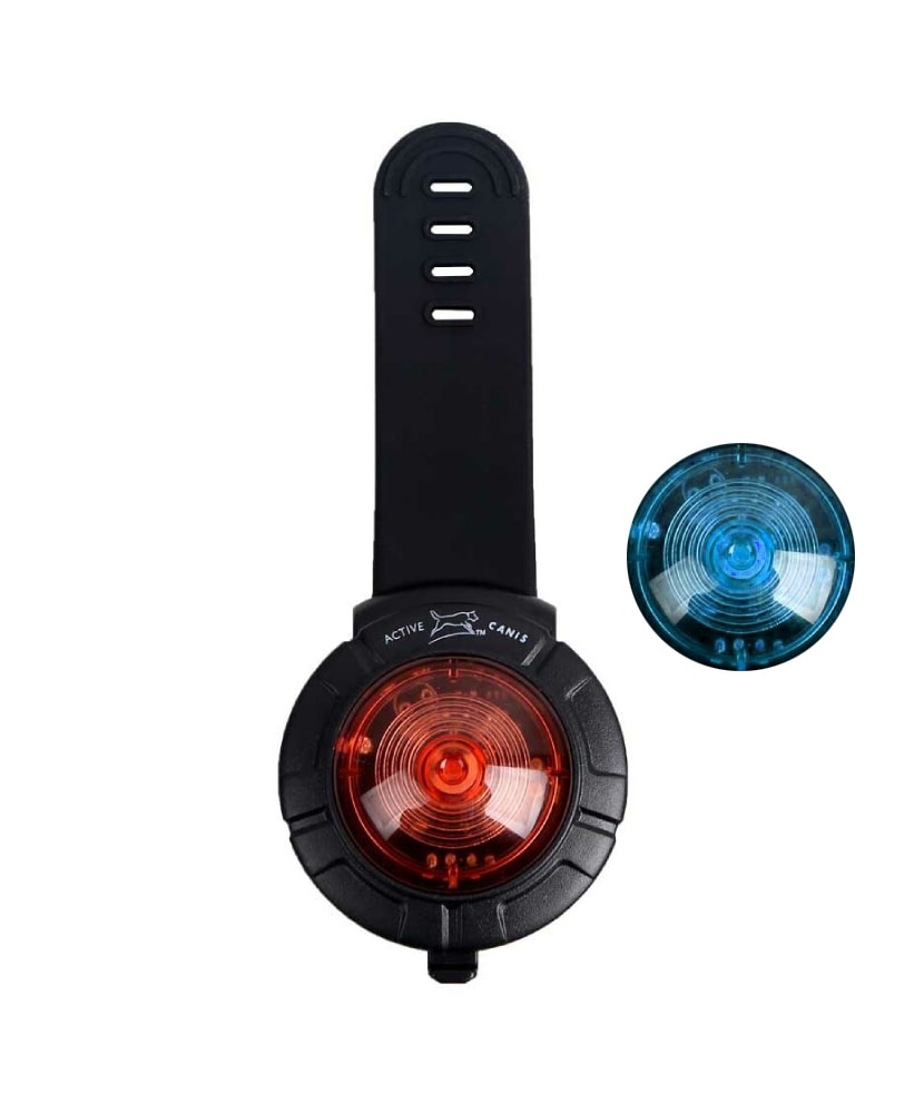 Active Canis Safety Light