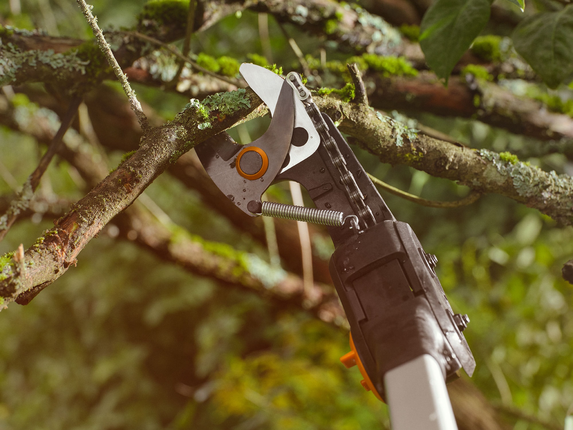 1082340_Fiskars_Power_eTree-Pruner_bypass_in_use_0