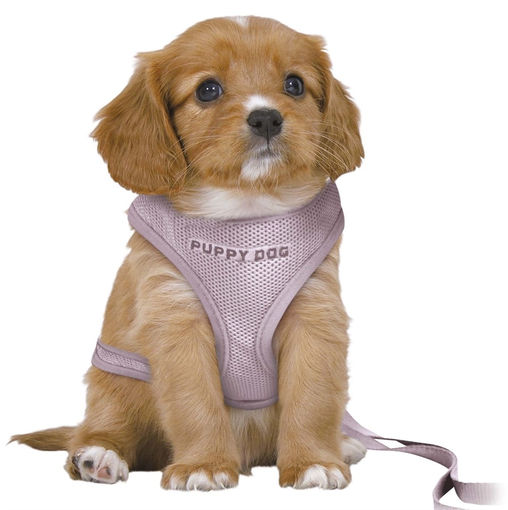 Trixie Junior Mjuk sele med koppel S/M 26-34cm/10mm, 2M