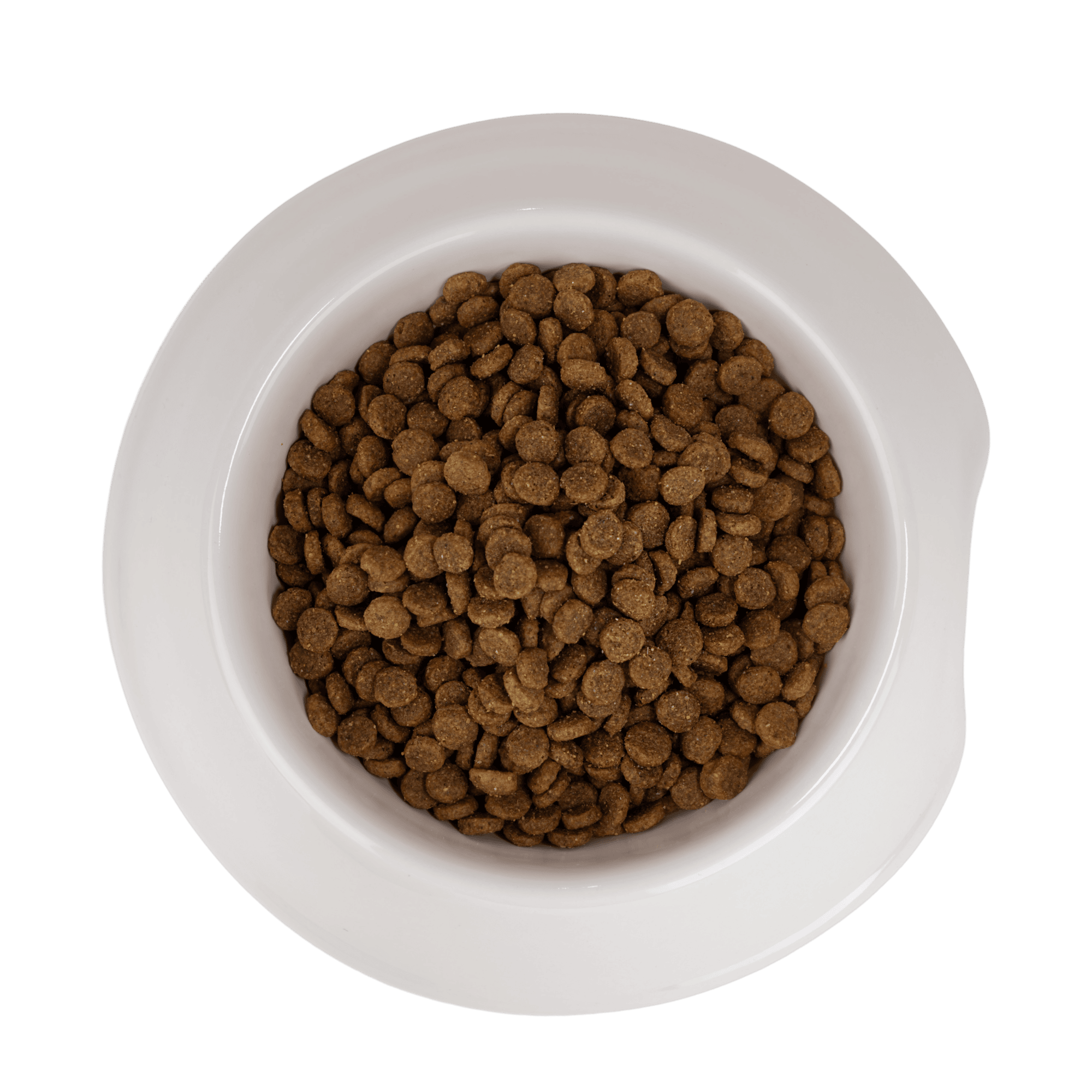 Tigra Gourmet.png