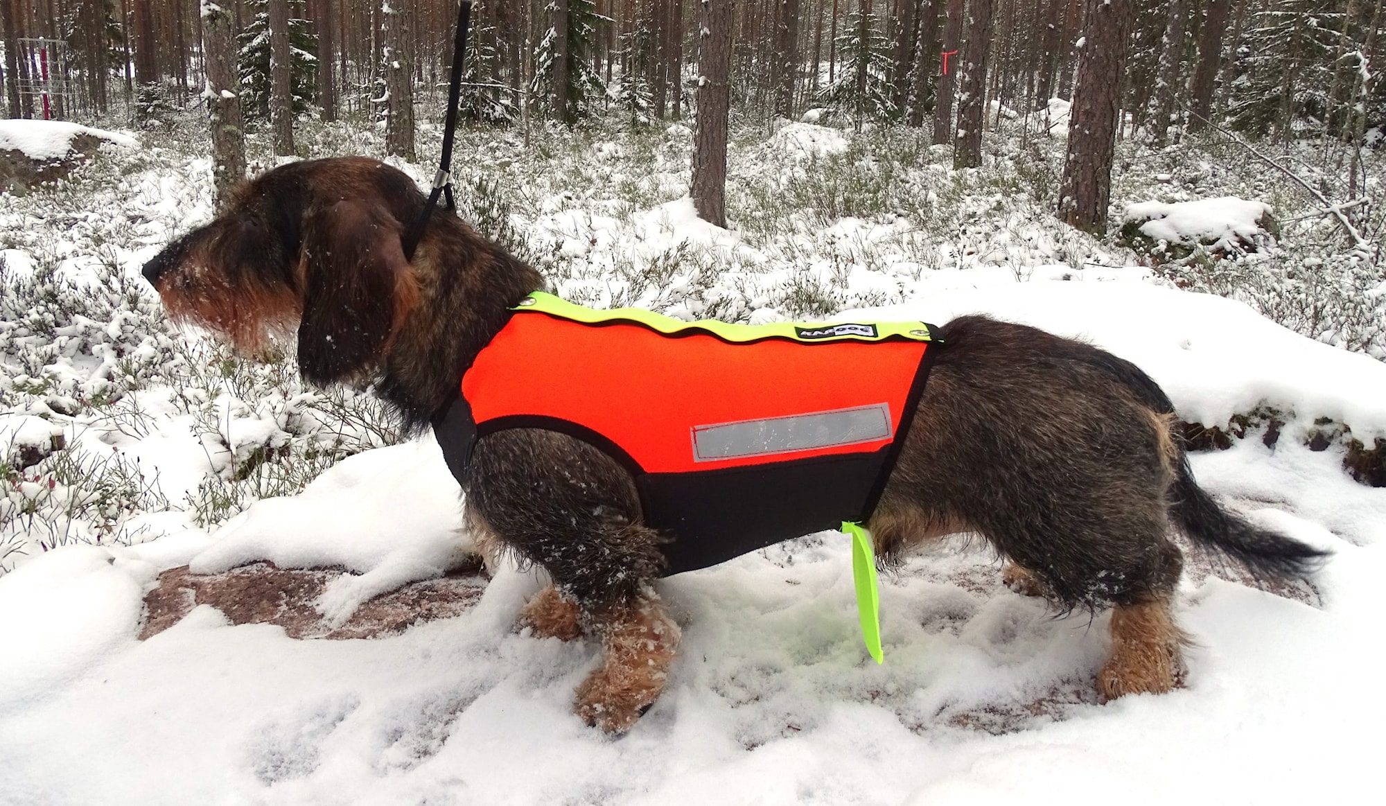 Kardog HELMI Skärskyddsväst
