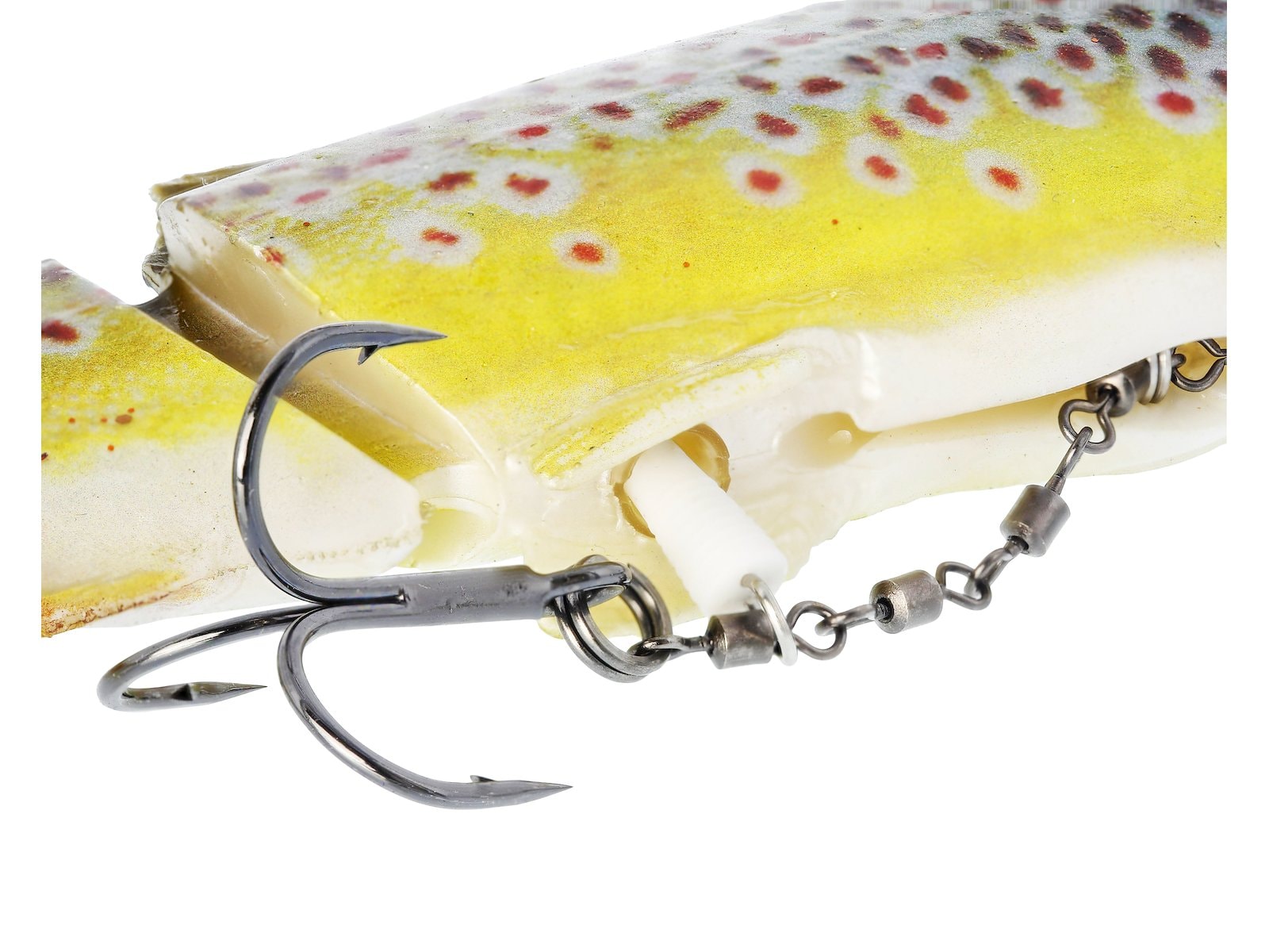 p267_tommy-the-trout_x1.jpg