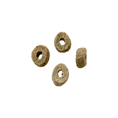 2037-bozita-robur-adult-maintenance-chicken-kibble