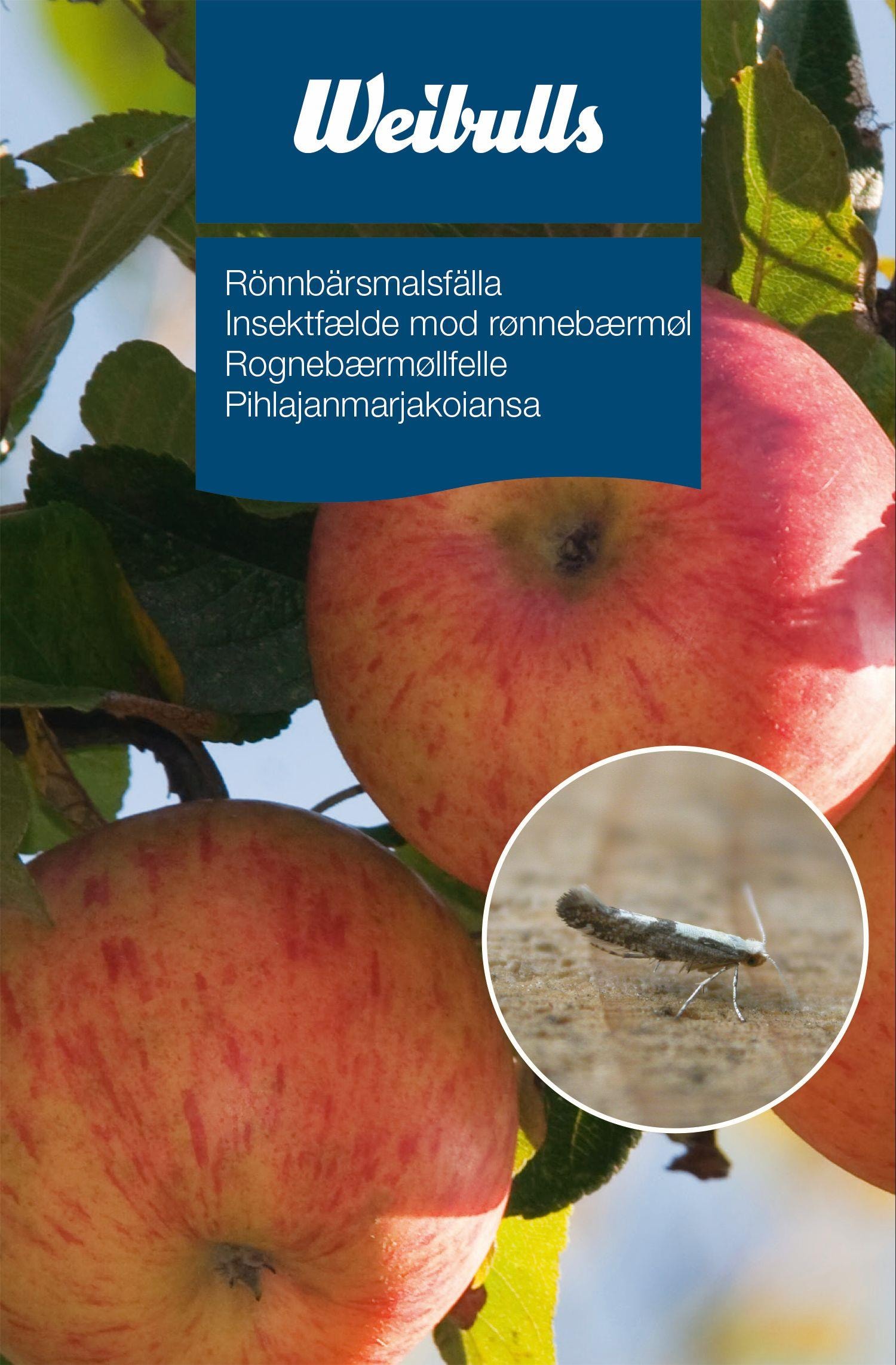 Weibulls Feromonfällor Rönnbärsmal