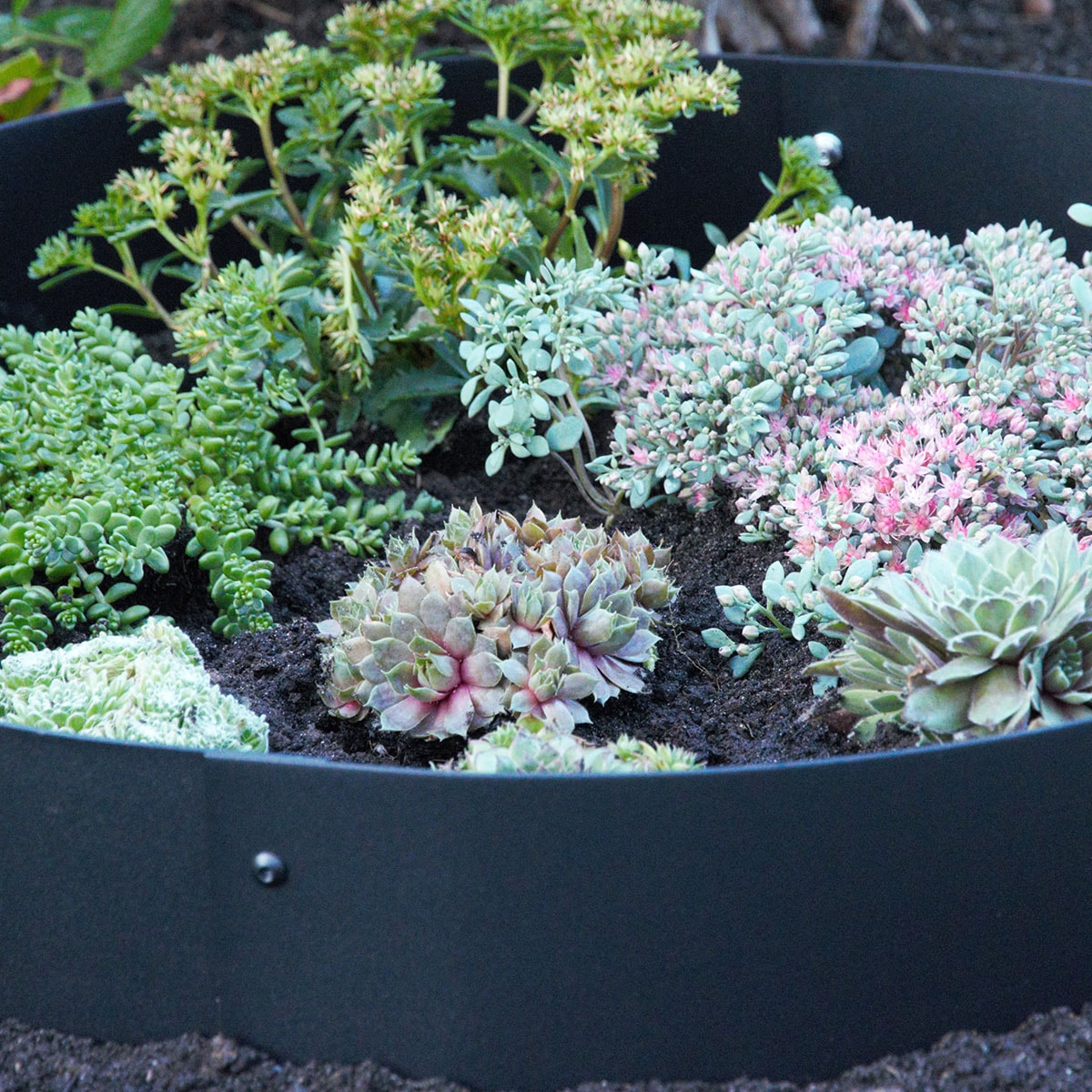 planteringskant-flexigarden-svart-120-mm-kvartsbag