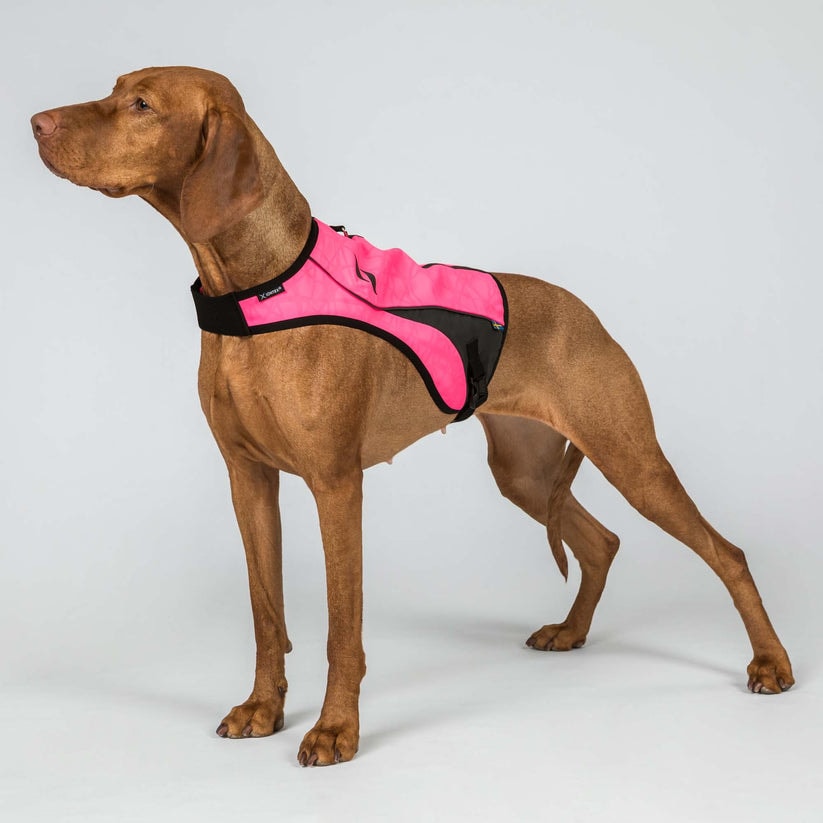 3233POINTVisibilityDogVestBrightPinkDetail02Web[1]
