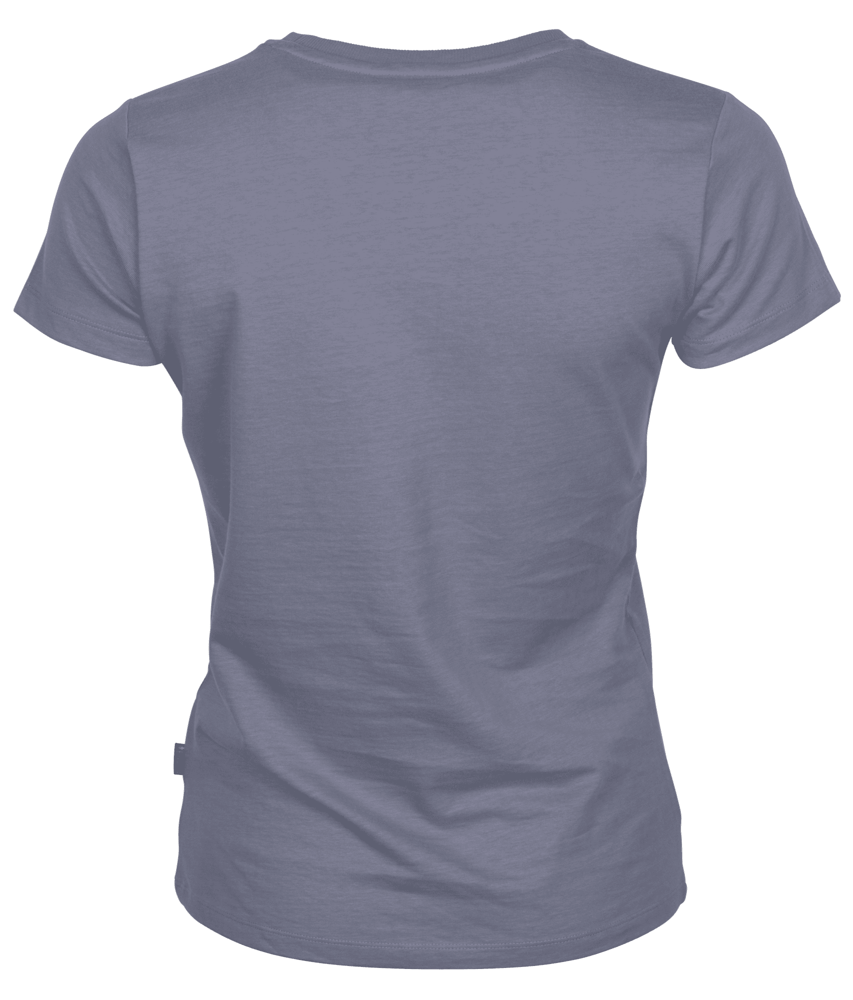 Pinewood Outdoor Life T-Shirt Dam Light Lilac