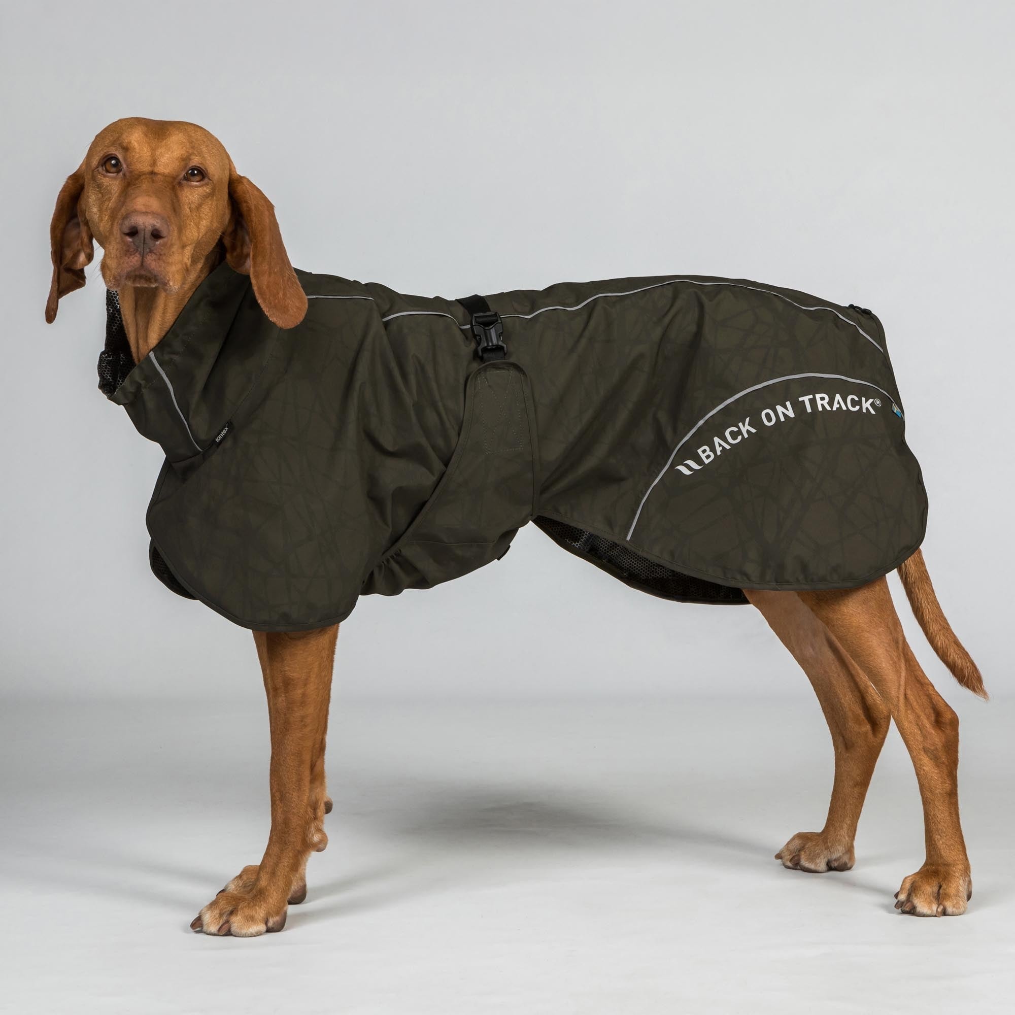 3236BAYRainDogCoat_HighsettailOliveDetail01Web_540