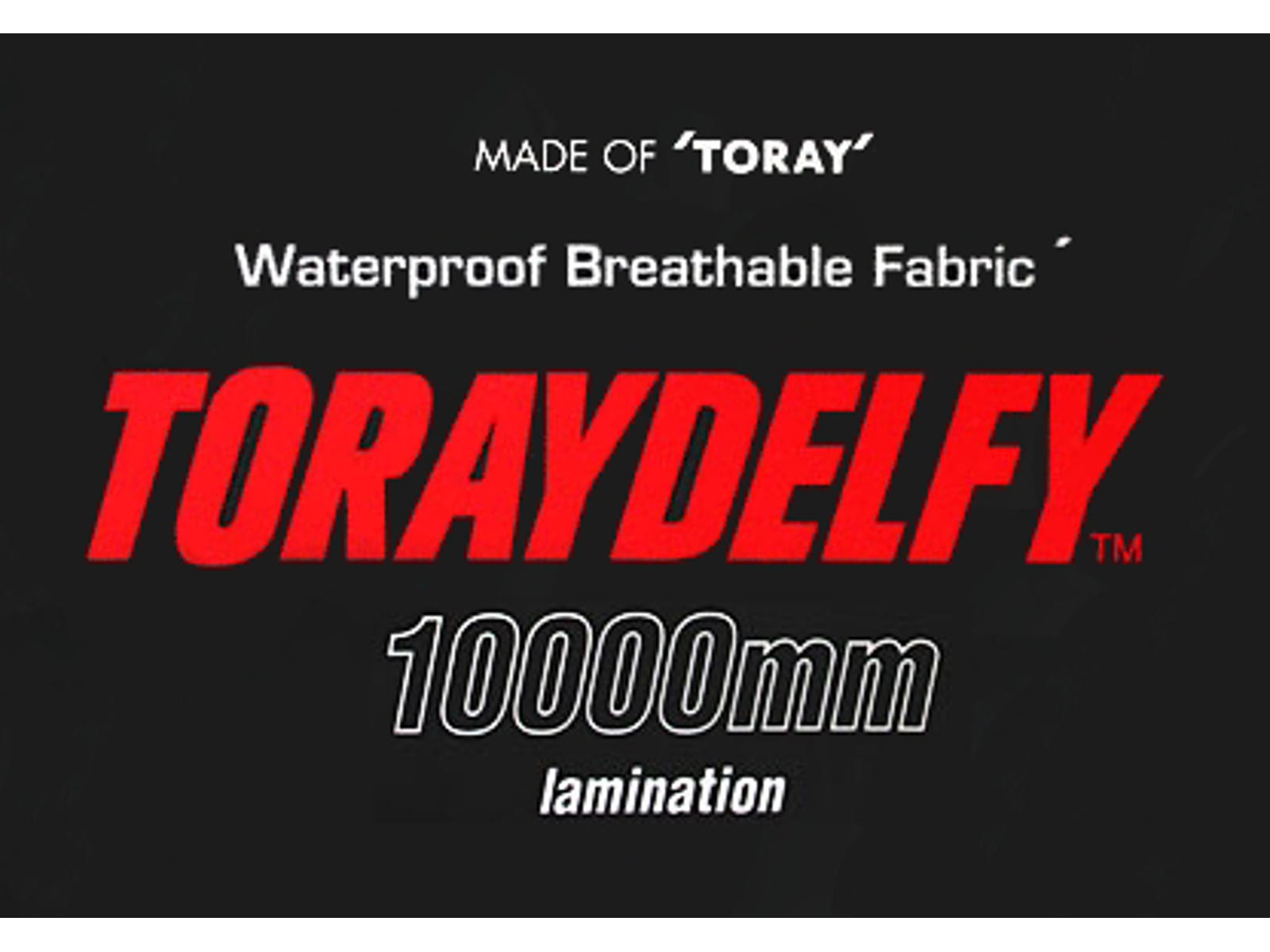 toraydelfy_logo_large.jpg