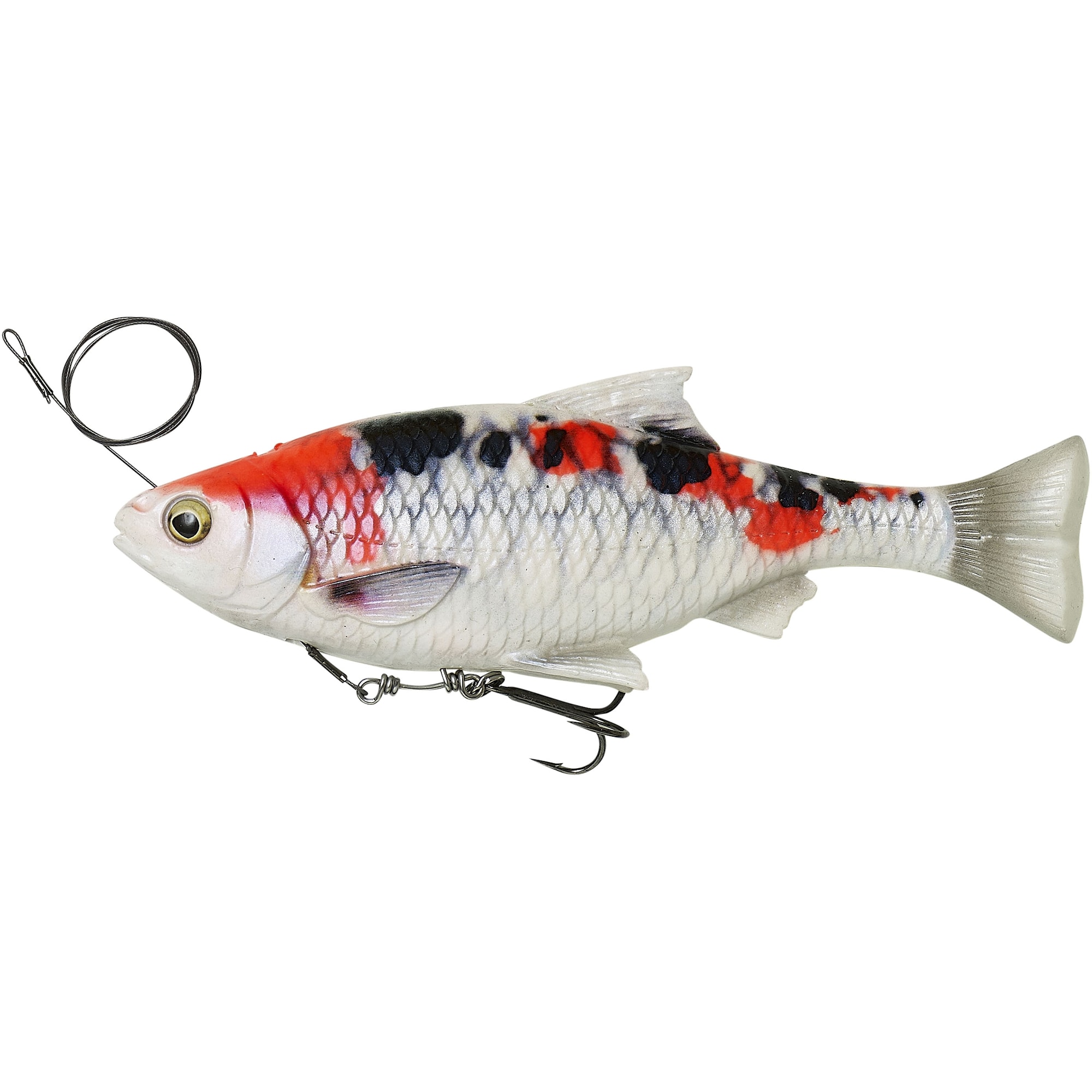 SG 4D Line Thru Pulse Tail Roach 18 cm SS Koi