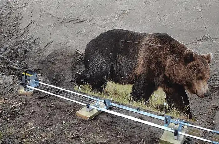 5022_min.jpg?fit=699%2C460&ssl=1