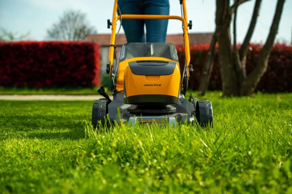 67b53200c9e65d5bc692edf48147a74240_collector48SAEk