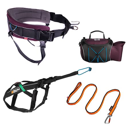 Non-Stop Dogwear Hiking Pack, purple
