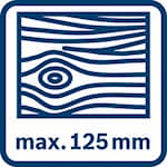 Bosch_BE_Icon_Wood_max125mm (8).jpg