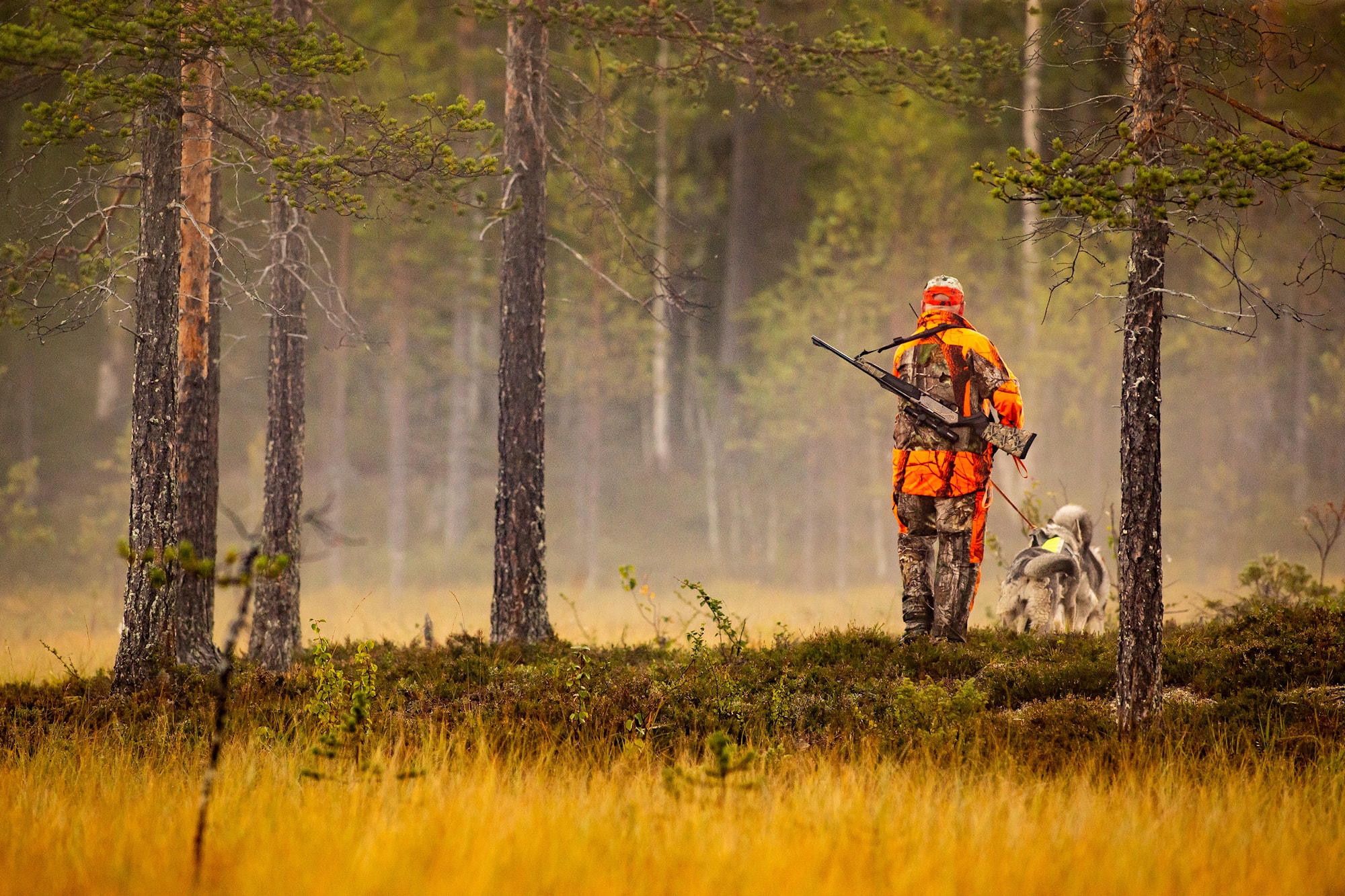 Hunterandhuntingdogschasinginthewilderness.jpg