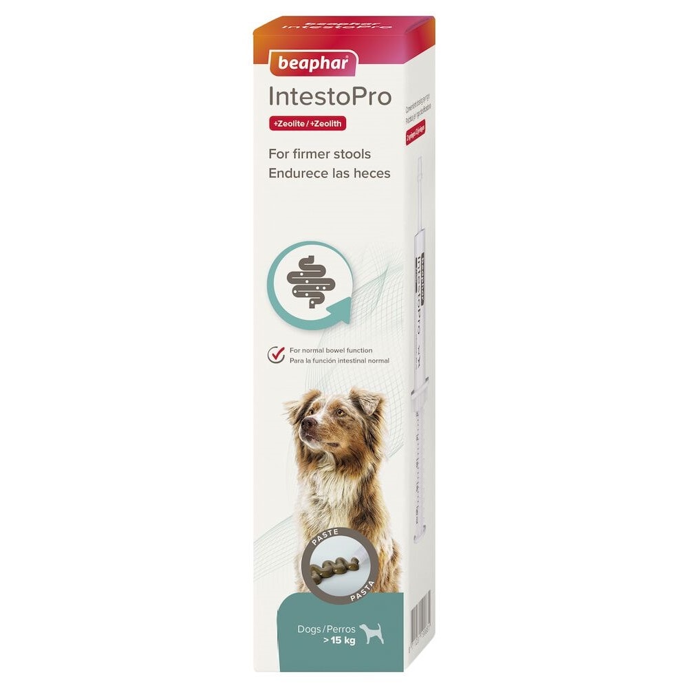 Beaphar IntestoPro Paste Dog >15kg 40ml