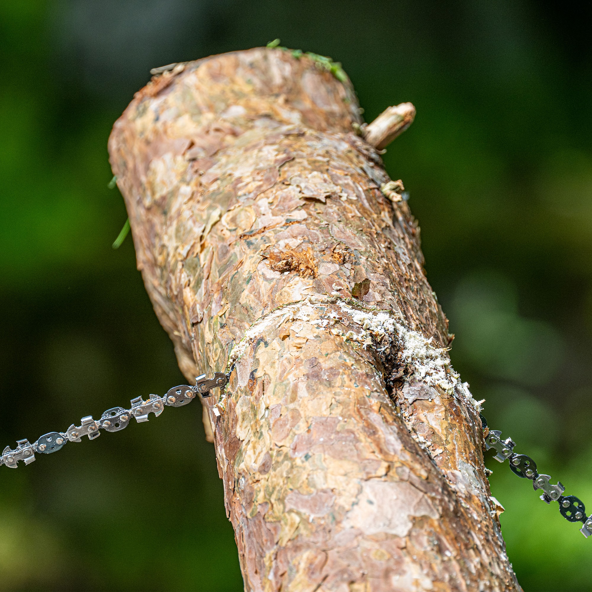 Nordic-Pocket-Saw-Lineworker-8 (1).jpg
