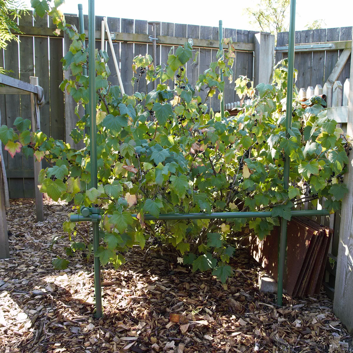 buskstod-flexigarden__1af8e83a-a639-4086-8dfe-4857