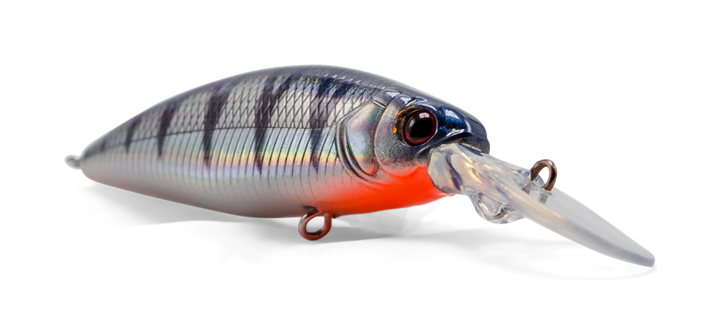 Armada The Guard 60 mm