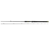 Ifish 6 Sense Vertical 6’ 5’’ 15 – 65g Spinnspö