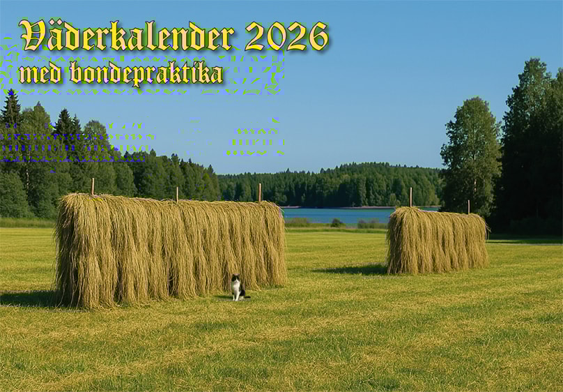 Väderkalender Bondepraktika 2026