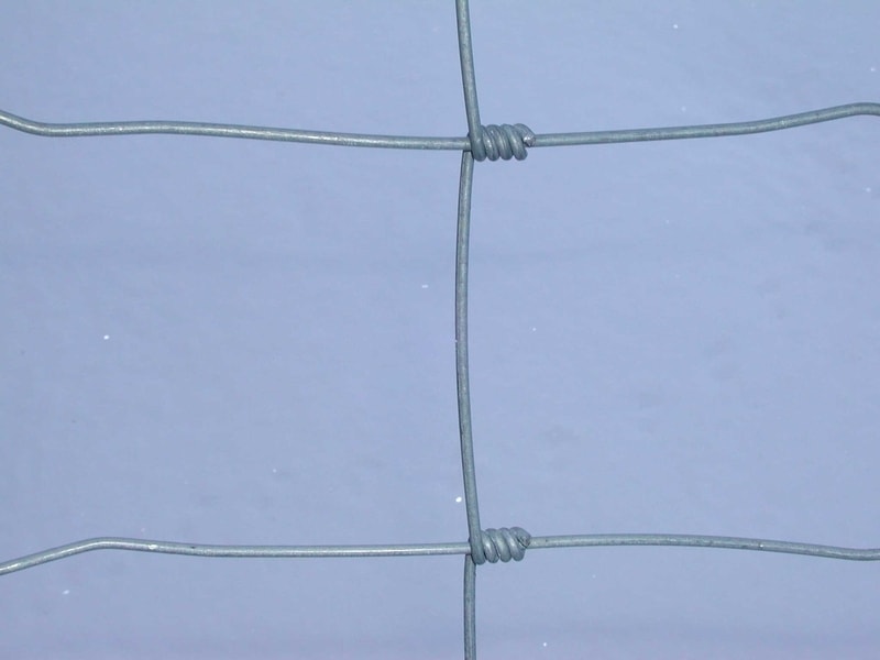 43733d48bcf59b8184d786ce5bbee1cac965f402_800x800[1