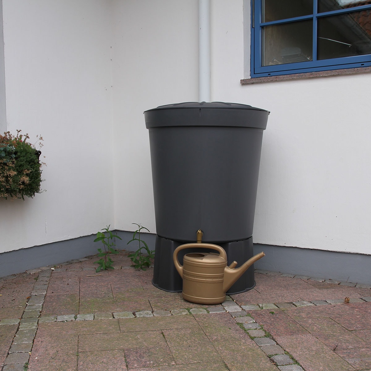 13598000001_1-kopiera__34b790ca-ebd5-409d-94f6-ea9