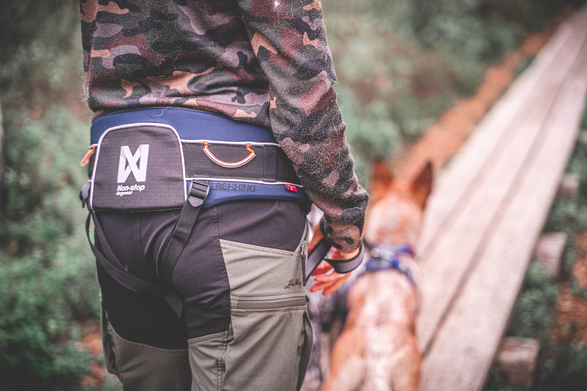 nonstopdogwear_b2b_trekking belt_Non-Stop_Dogwear_