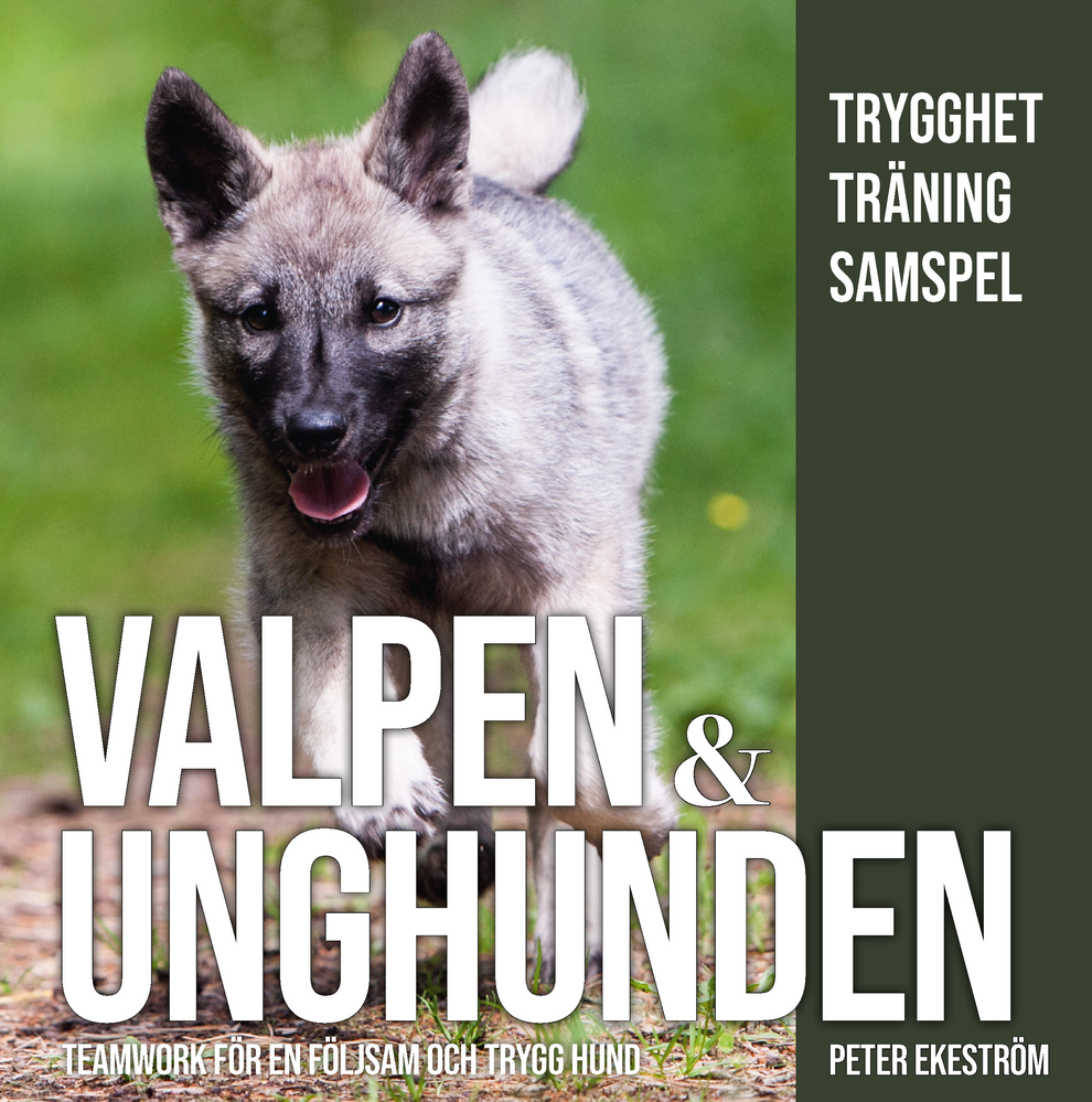 Valpen & Unghunden – Teamwork för en följsam och trygg hund