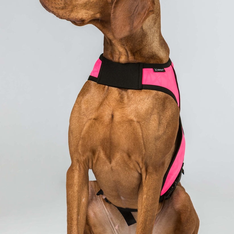 3233POINTVisibilityDogVestBrightPinkDetail03Web[1]
