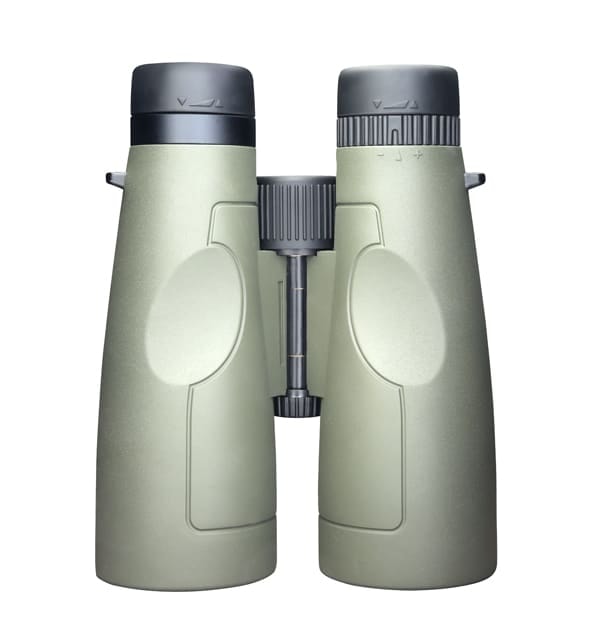 p_355104_default_1[1]