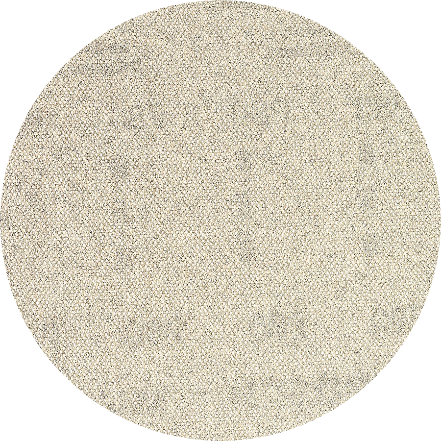 Bosch Slipark Expert EXC Net 150mm 5st