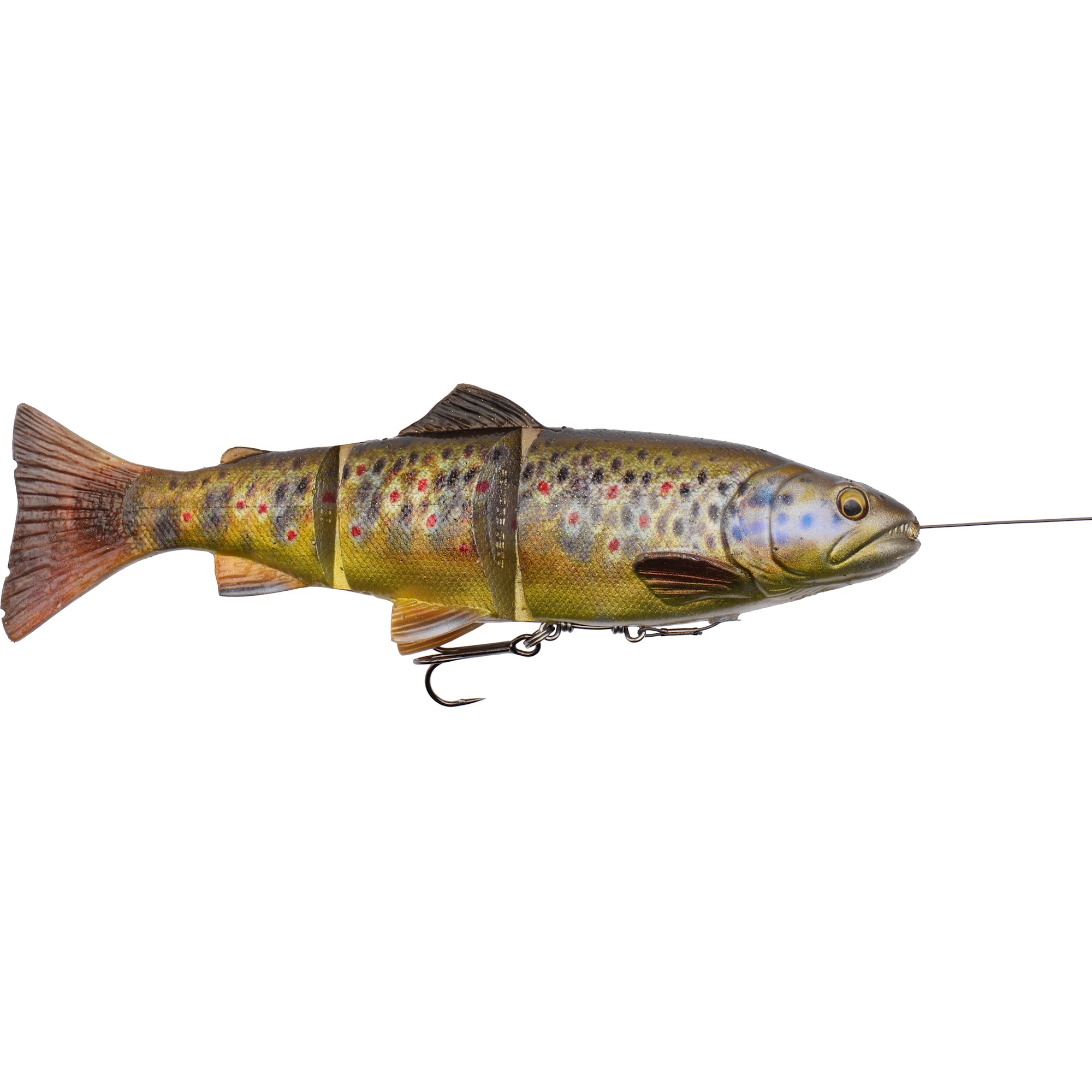SG 4D Line Thru Trout 25 cm MS Dark Brown Trout