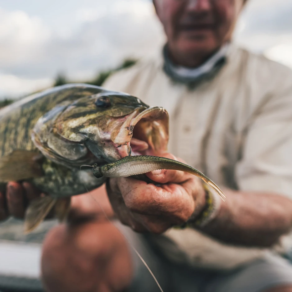 e1e4a0d8893da8_1vn02ida6h6058600p8fh7ci60_4bb27219