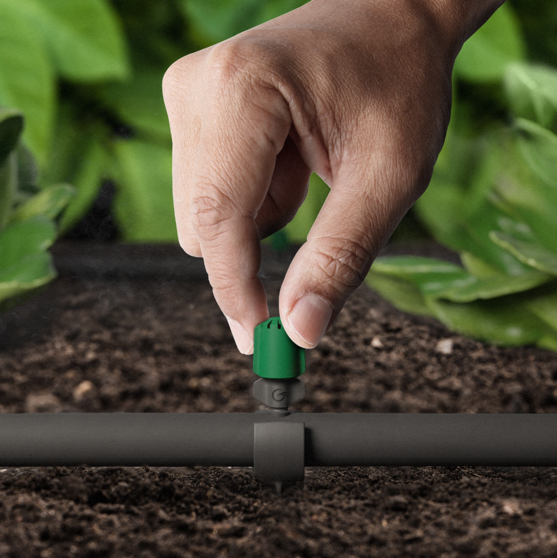 Skärmbild 2024-11-19 103342.png