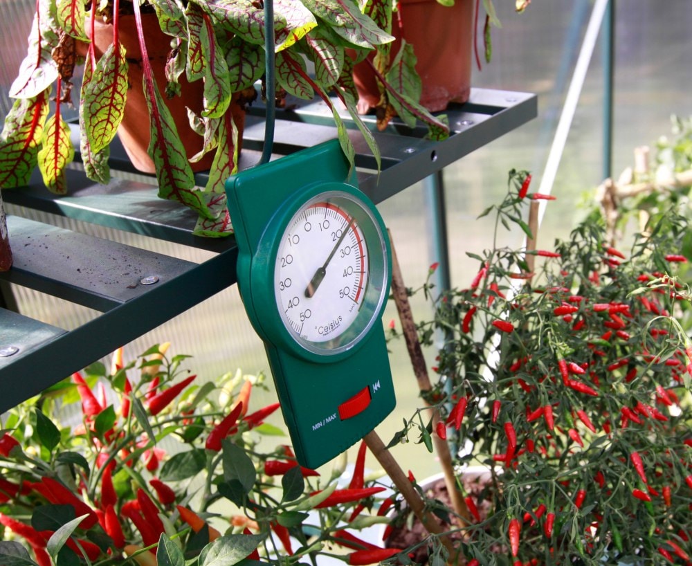 Vitavia Min/Max Termometer