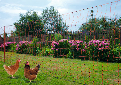 Foga Hühnernetz 50 m Höhe 106 cm