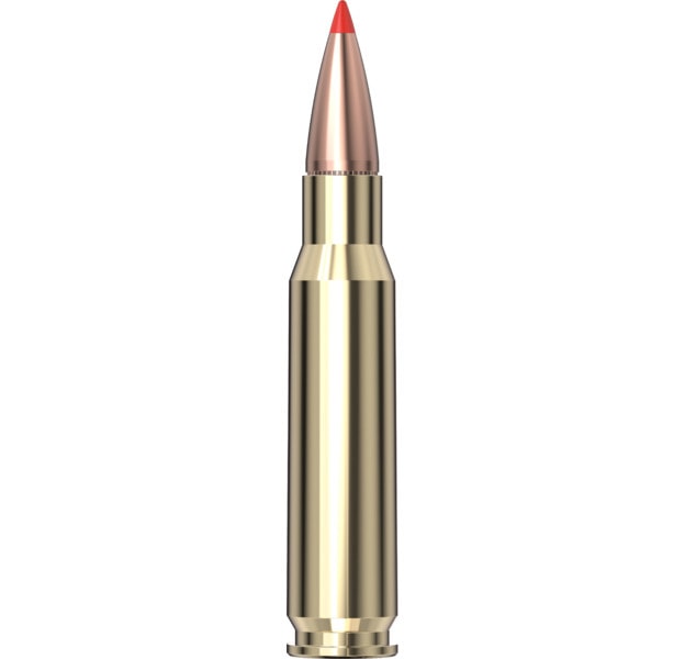 Hornady Superformance® Ammo 308 Win 180 gr SST® 20st/ask