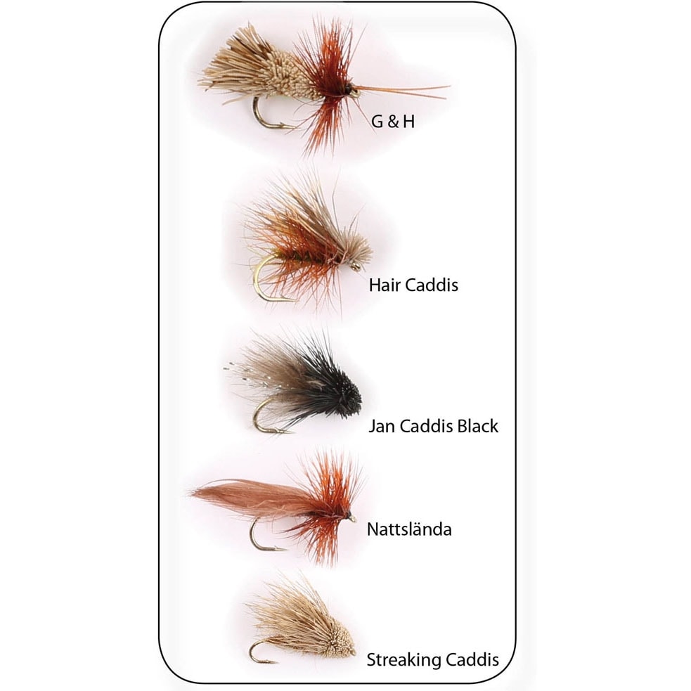 Wiggler Dry Fly Sedges #12 5-pack