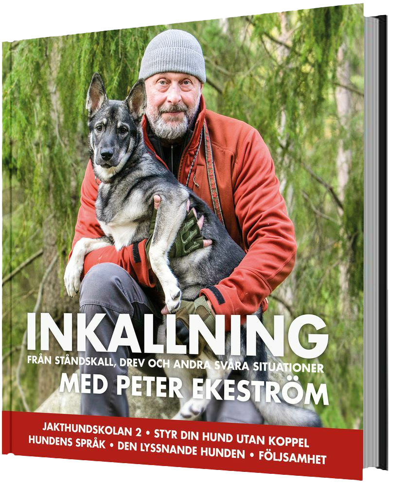 INKALLNING från ståndskall, drev & andra svåra situationer