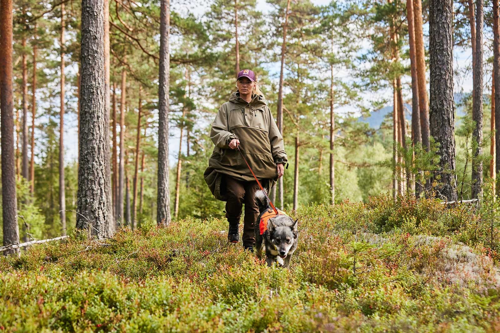 forest_anojakka_2_0_setting_1.jpg