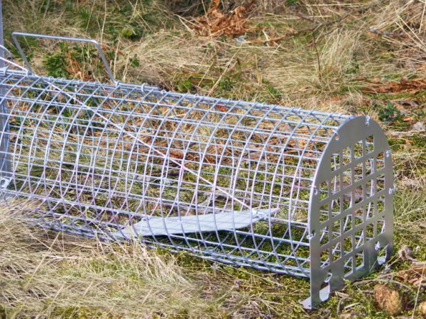 Lotin Minkfelle enkel