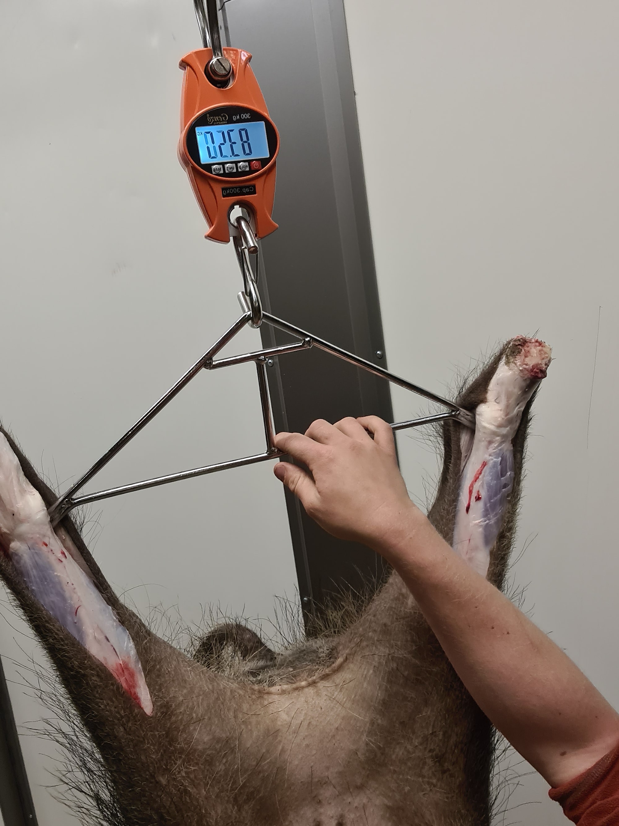 20200707_224408 (1).jpg