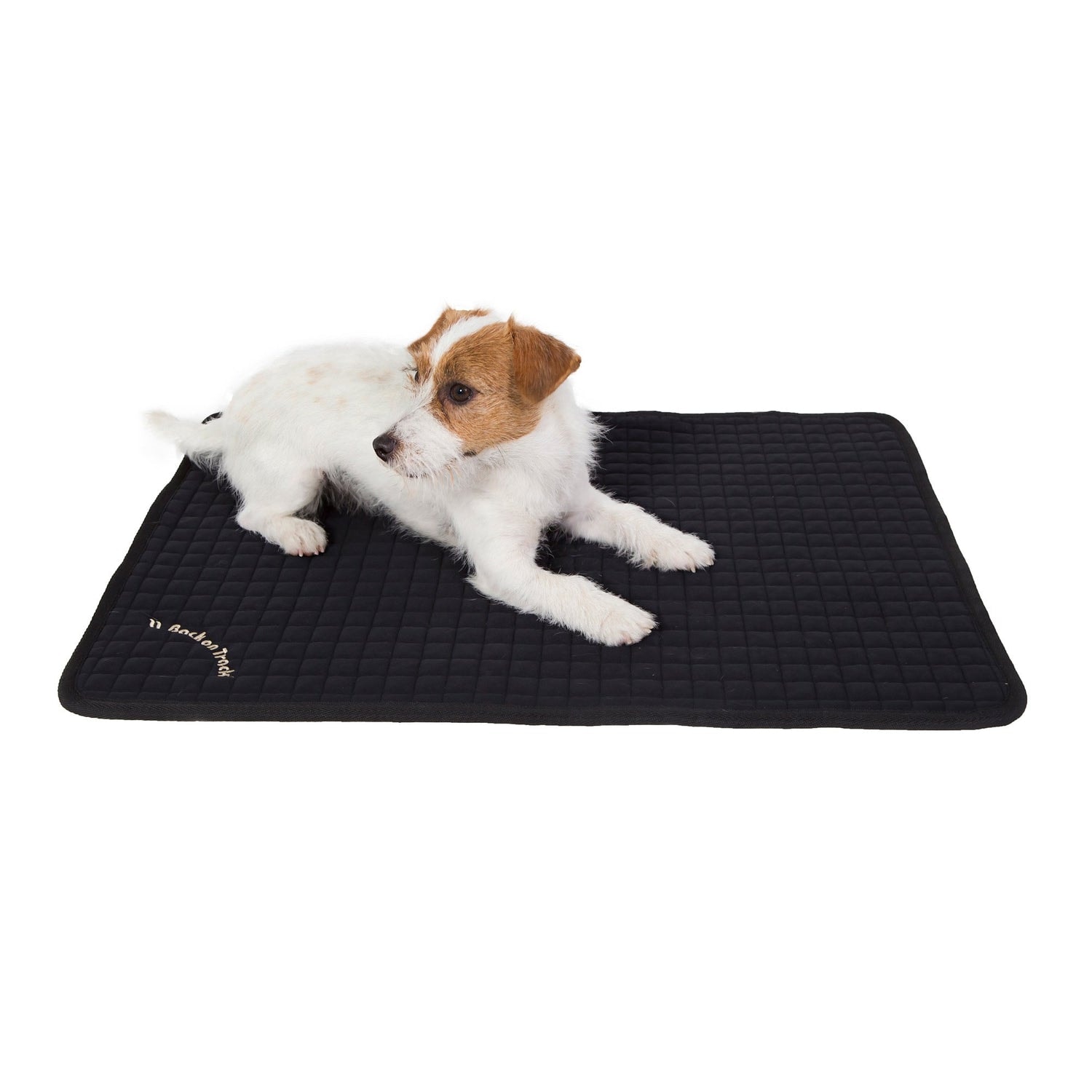 Hundbädd quiltad, Svart 55x38 cm -